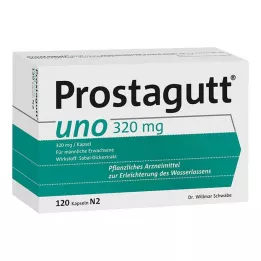 PROSTAGUTT cápsulas uno, 120 unidades