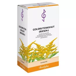 GOLDRUTENKRAUT Chá Gigante, 100 g