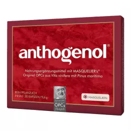 ANTHOGENOL Masquelier OPC cápsulas, 30 unidades