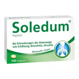 SOLEDUM Cápsulas gastrorresistentes de 100 mg, 100 unidades