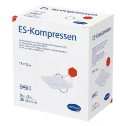 ES-KOMPRESSEN estéril 5x5 cm pacote com 12 unidades, 20X5 unidades