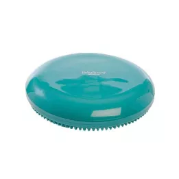 SITZKISSEN RFM verde, 1 peça