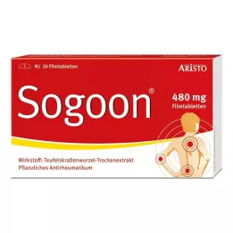 SOGOON Comprimidos revestidos por película de 480 mg, 20 unidades