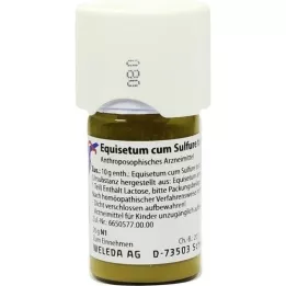 EQUISETUM CUM Trituração de enxofre tostum D 1, 20 g