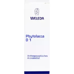 PHYTOLACCA Diluição D 1, 20 ml