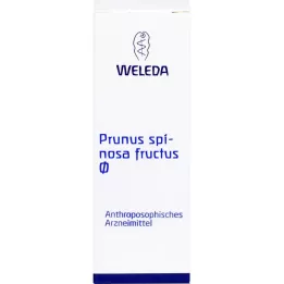 PRUNUS SPINOSA FRUCTUS Tintura mãe, 50 ml