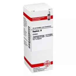 BAPTISIA Tintura mãe, 20 ml