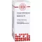 BERBERIS Diluição D 10, 20 ml