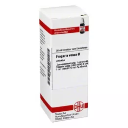 FRAGARIA VESCA Tintura mãe, 20 ml