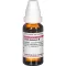 INULA HELENIUM Tintura mãe, 20 ml