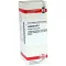 LEPTANDRA Diluição D2, 20 ml