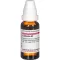 LEPTANDRA Diluição D2, 20 ml