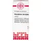 PHOSPHORUS AMORPHUS D 10 comprimidos, 80 unidades