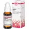 ZINGIBER Tintura mãe, 20 ml