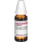 ZINGIBER Tintura mãe, 20 ml