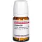 ZINGIBER D 30 comprimidos, 80 unidades