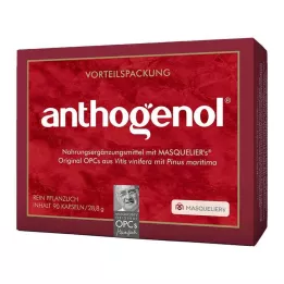 OPC ORIGINAL Cápsulas Masqueliers Anthogenol, 90 unidades