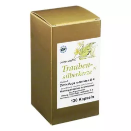 TRAUBENSILBERKERZE Cápsulas, 120 unidades