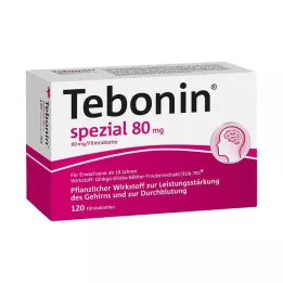 TEBONIN comprimidos revestidos por película especiais de 80 mg, 120 unidades