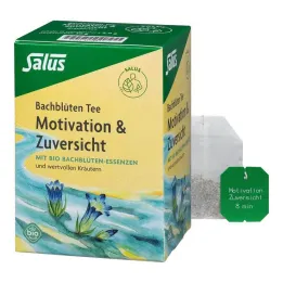 Chá de Flor de Bach Motivação & Confidence Bio Salus, 15 unidades