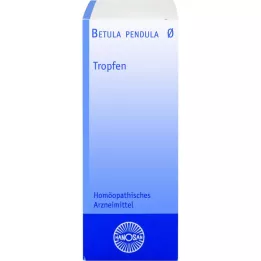 BETULA PENDULA Tintura mãe Hanosan, 20 ml