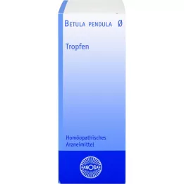 BETULA PENDULA Tintura mãe Hanosan, 50 ml