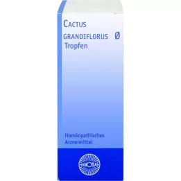CACTUS GRANDIFLORUS Tintura mãe Hanosan, 20 ml