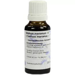 CARDUUS MARIANUS Tintura mãe Hanosan, 20 ml