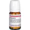 PROPOLIS D 4 comprimidos, 80 unidades
