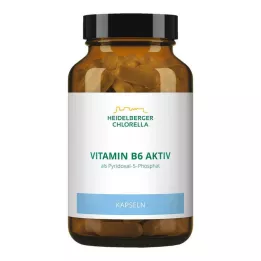 VITAMIN CÁPSULAS B6, 120 unidades