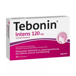TEBONIN comprimidos revestidos por película de 120 mg, 30 unidades