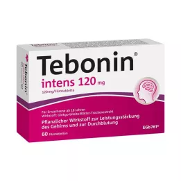 TEBONIN comprimidos revestidos por película de 120 mg, 60 unidades
