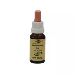 BACHBLÜTEN Gotas de Murnauer Elm, 20 ml