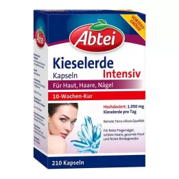 ABTEI Cápsulas de sílica, 210 unidades