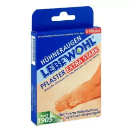 LEBEWOHL Gesso de milho extra forte, 8 peças