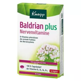 KNEIPP Valeriana mais vitaminas nervosas drageias, 40 unidades