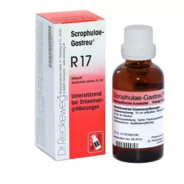 SCROPHULAE-Mistura Gastreu R17, 22 ml