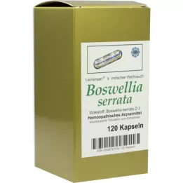 BOSWELLIA SERRATA Cápsulas de incenso L.ind., 120 unidades