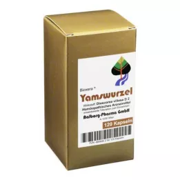 YAMSWURZEL CÁPSULAS, 120 unid