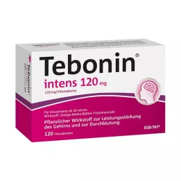 TEBONIN comprimidos revestidos por película de 120 mg, 120 unidades
