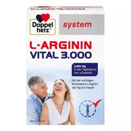 DOPPELHERZ L-Arginina Vital 3.000 cápsulas do sistema, 120 unidades