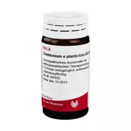 CHELIDONIUM E planta total D 3 Globuli, 20 g
