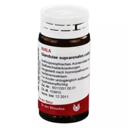GLANDULAE SUPRARENALES comp.Glóbulos, 20 g