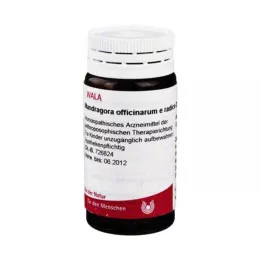 MANDRAGORA OFFICINARIUM e raiz D 4 Glóbulos, 20 g