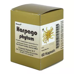 HARPAGOPHYTUM BIOXERA Cápsulas, 60 unidades