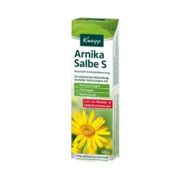 KNEIPP Pomada de Arnica S, 100 g