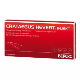 CRATAEGUS HEVERT ampolas de injeção, 10 unidades