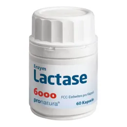 Cápsulas de lactase 6000 FCC , 60 unidades
