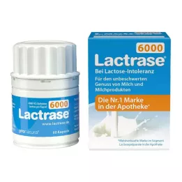 LACTRASE 6.000 FCC cápsulas, 60 unidades
