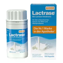 LACTRASE 6.000 FCC cápsulas, 100 unidades